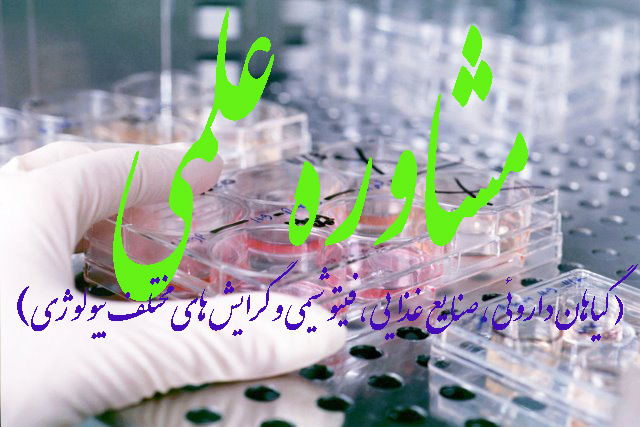 ارائه مشاوره علمی